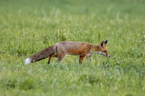 22-09-12-Polder-2