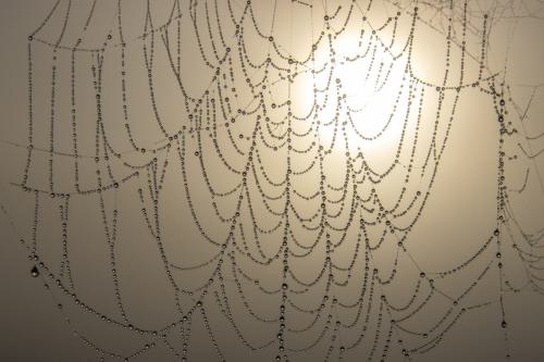 22-09-30-Sonneaufgang-hinter-Schoepfwerkbruecke-13